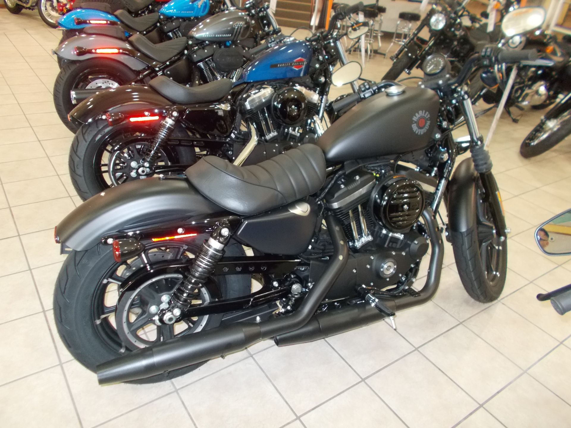 2022 Harley-Davidson XL883N in Junction City, Kansas