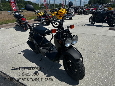 2024 Honda Ruckus in Tampa, Florida