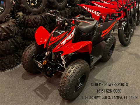 2024 Honda TRX90X in Tampa, Florida