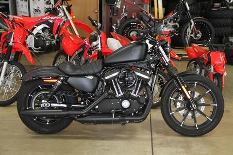 2020 Harley-Davidson Iron 883™ in Hendersonville, North Carolina