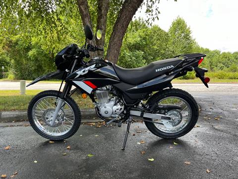 2024 Honda XR150L in Hendersonville, North Carolina - Photo 5