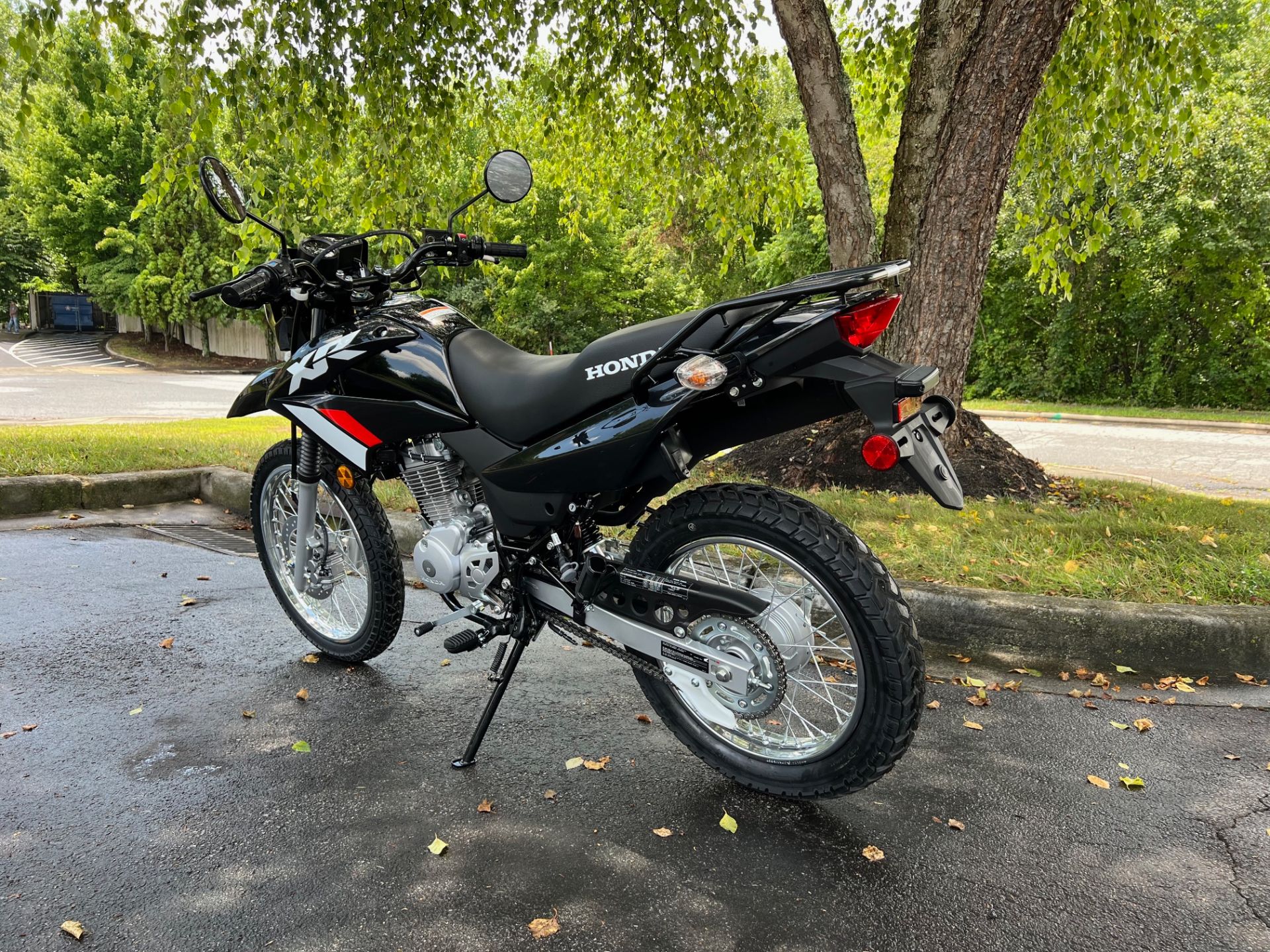 2024 Honda XR150L in Hendersonville, North Carolina - Photo 6