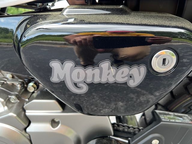 2024 Honda Monkey ABS in Hendersonville, North Carolina - Photo 6