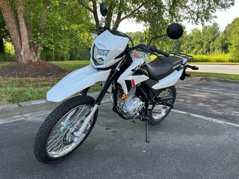 2023 Honda XR150L in Hendersonville, North Carolina - Photo 6