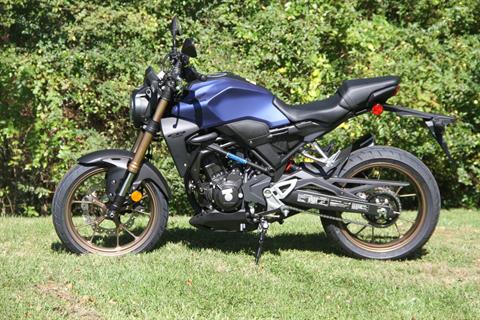2022 Honda CB300R ABS in Hendersonville, North Carolina - Photo 2