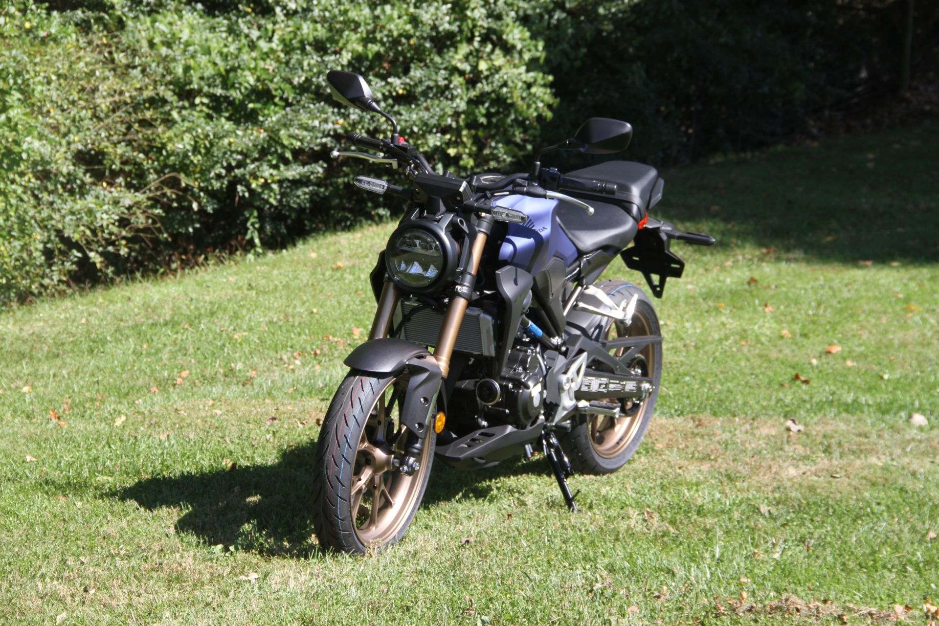 2022 Honda CB300R ABS in Hendersonville, North Carolina - Photo 23