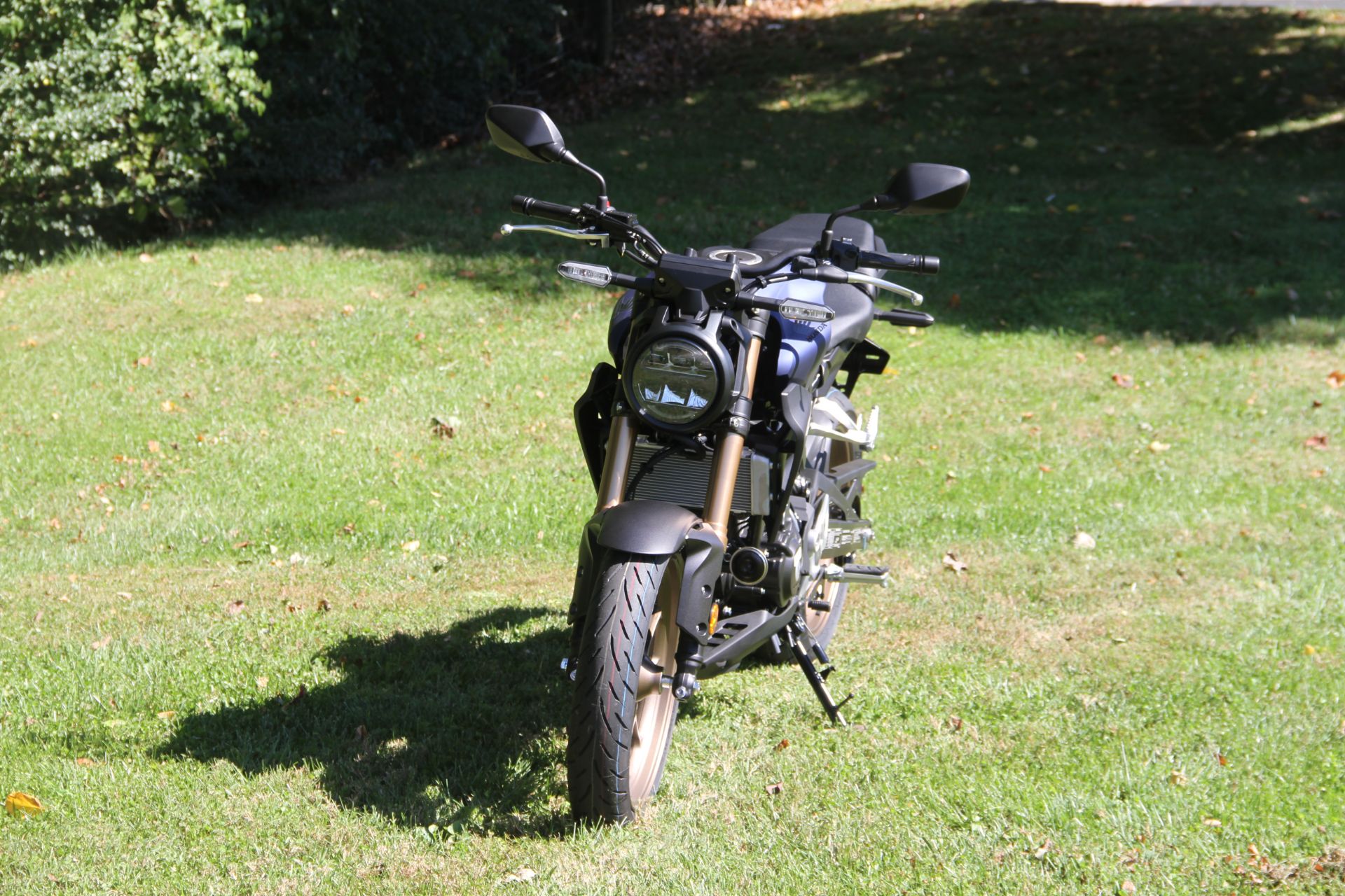 2022 Honda CB300R ABS in Hendersonville, North Carolina - Photo 24