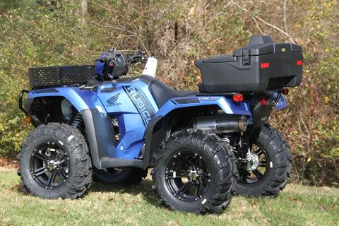2022 Honda FourTrax Foreman Rubicon 4x4 Automatic DCT EPS Deluxe in Hendersonville, North Carolina - Photo 13