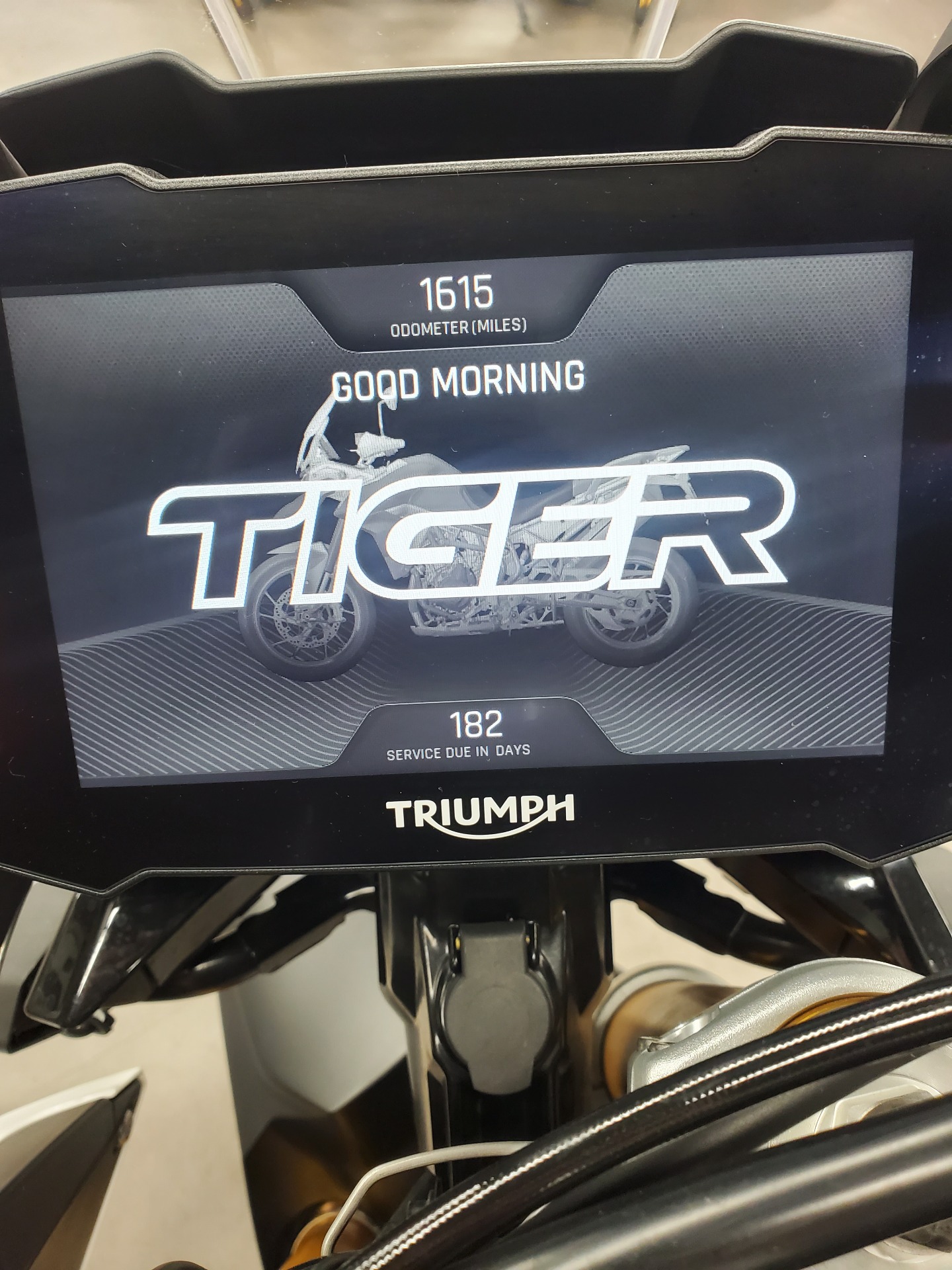 2022 Triumph Tiger 900 Rally Pro in Dover, Delaware - Photo 5