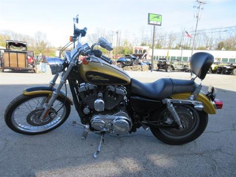 2008 Harley-Davidson Sportster® 1200 Custom in Georgetown, Kentucky - Photo 5
