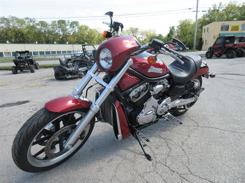 2006 Harley-Davidson Night Rod™ in Georgetown, Kentucky - Photo 7