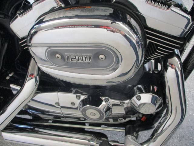 2008 Harley-Davidson Sportster® 1200 Custom in Lake Havasu City, Arizona - Photo 18