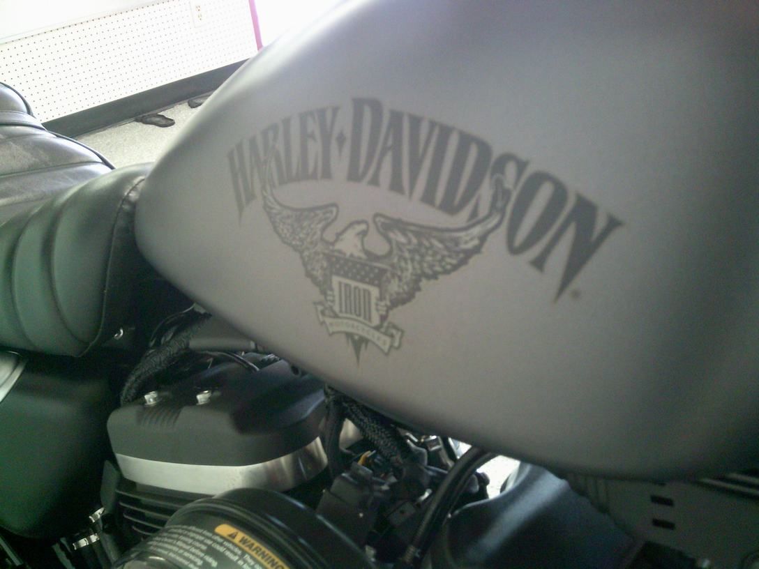 2017 Harley-Davidson Iron 883™ in Lake Havasu City, Arizona - Photo 9