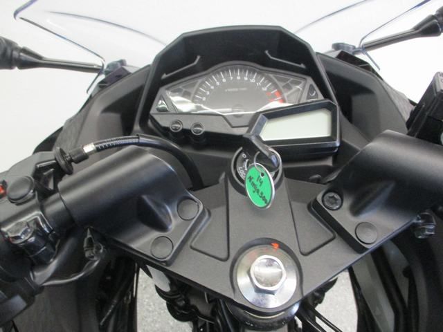 2014 Kawasaki Ninja® 300 ABS in Lake Havasu City, Arizona - Photo 11