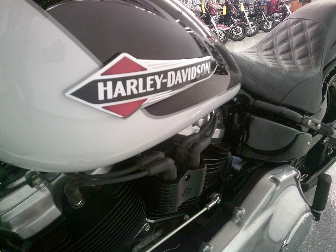 2021 Harley-Davidson Softail Slim® in Lake Havasu City, Arizona - Photo 8