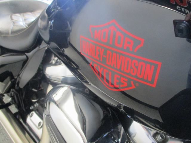 2021 Harley-Davidson Electra Glide® Standard in Lake Havasu City, Arizona - Photo 11