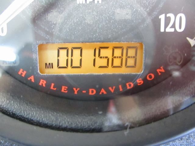 2020 Harley-Davidson Iron 883™ in Lake Havasu City, Arizona - Photo 10