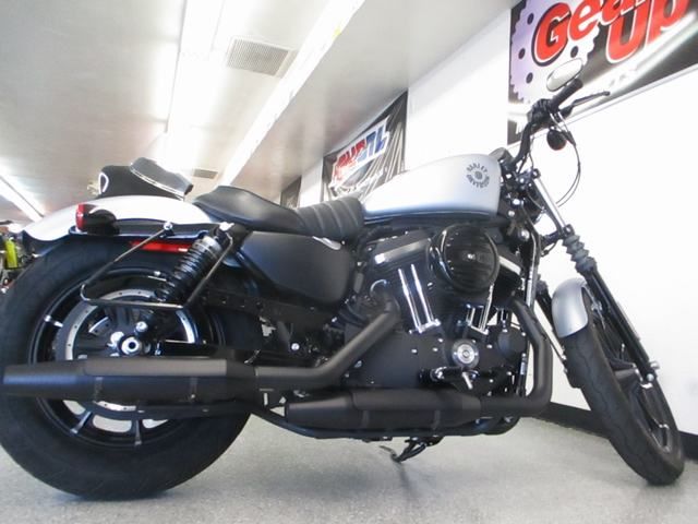 2020 Harley-Davidson Iron 883™ in Lake Havasu City, Arizona - Photo 12