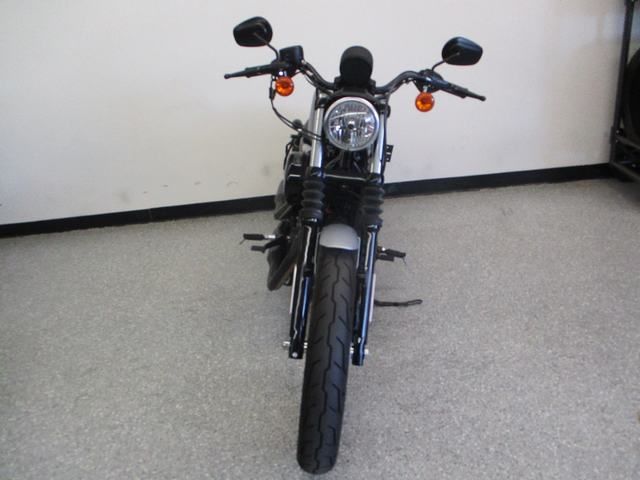 2020 Harley-Davidson Iron 883™ in Lake Havasu City, Arizona - Photo 15