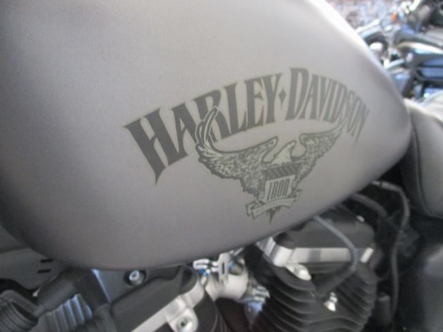 2017 Harley-Davidson Iron 883™ in Lake Havasu City, Arizona - Photo 8