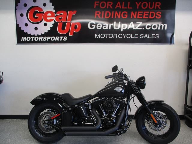 2014 Harley-Davidson Softail Slim® in Lake Havasu City, Arizona - Photo 12