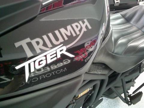 2014 Triumph Tiger 800 XC ABS in Lake Havasu City, Arizona - Photo 7