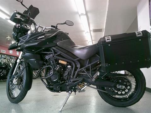 2014 Triumph Tiger 800 XC ABS in Lake Havasu City, Arizona - Photo 13