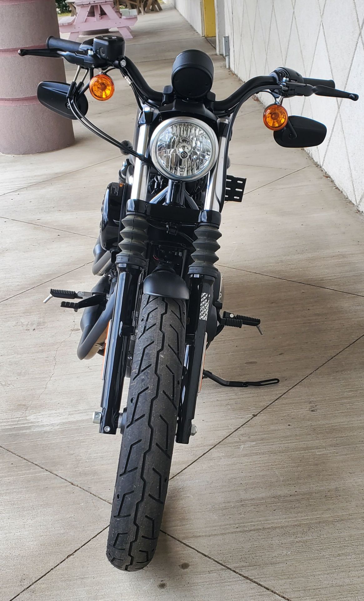 Used 2018 Harley Davidson Iron 883 Black Denim Motorcycles In Rochester Ny U3308
