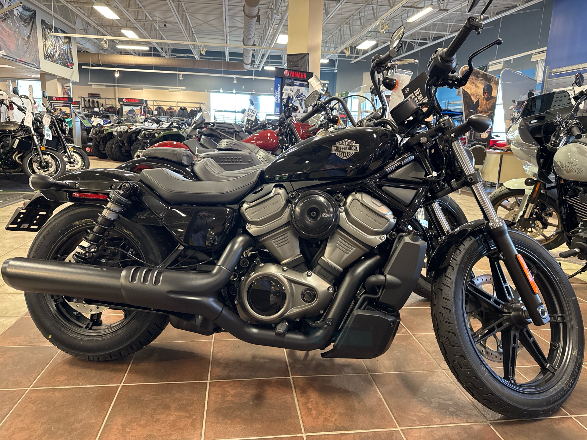 2024 Harley-Davidson Nightster® in Rochester, New York - Photo 1