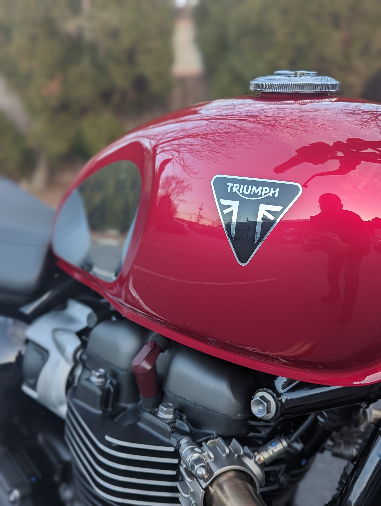 2023 Triumph Speed Twin 900 Chrome Edition in Mahwah, New Jersey - Photo 4
