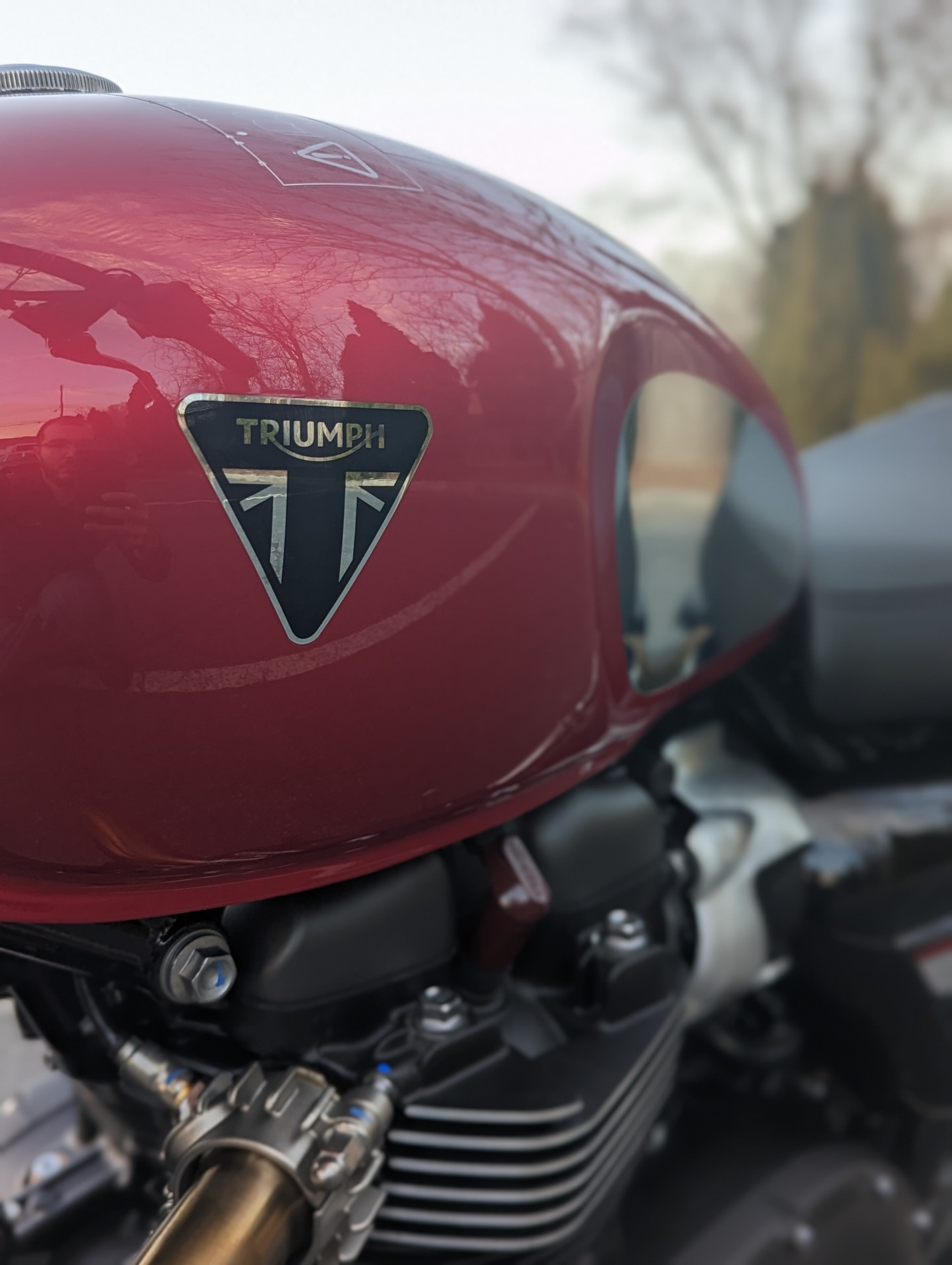 2023 Triumph Speed Twin 900 Chrome Edition in Mahwah, New Jersey - Photo 5