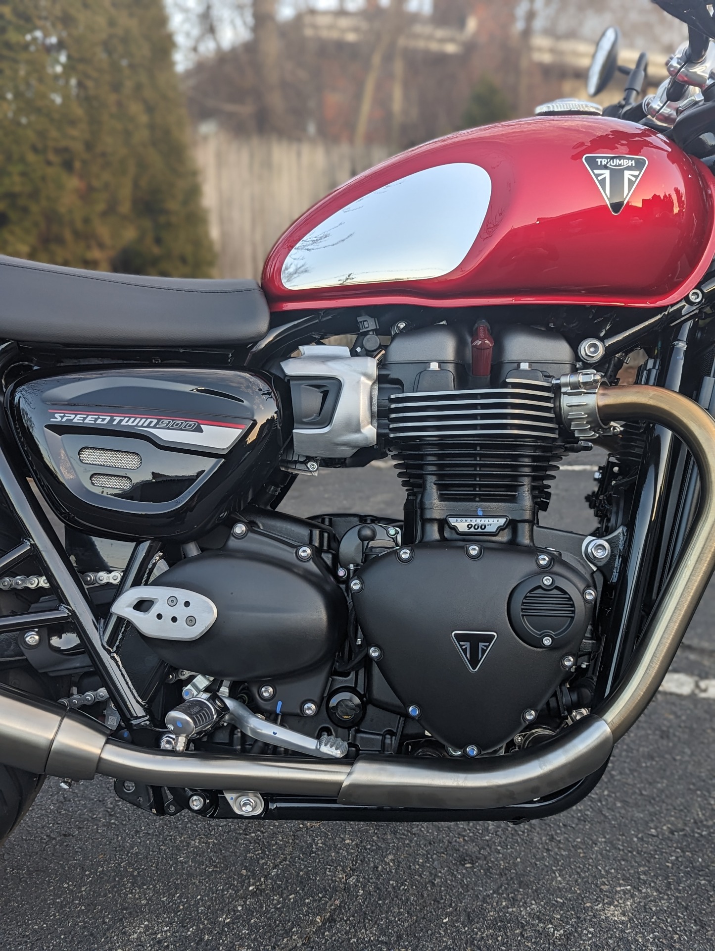 2023 Triumph Speed Twin 900 Chrome Edition in Mahwah, New Jersey - Photo 3