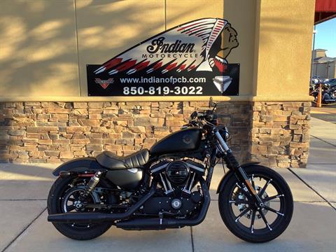 2021 Harley-Davidson 883 IRON in Panama City Beach, Florida - Photo 1