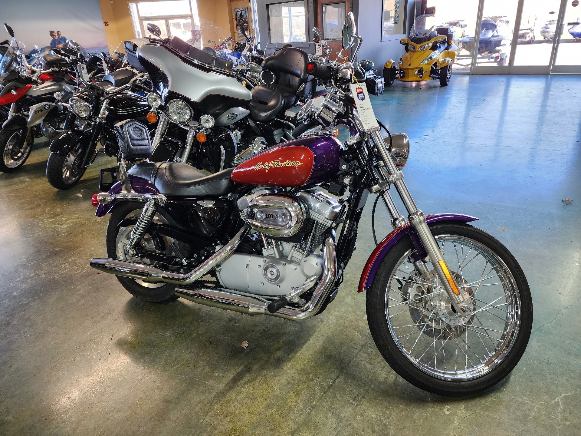 2006 Harley-Davidson Sportster® 883 Custom in Louisville, Tennessee - Photo 1