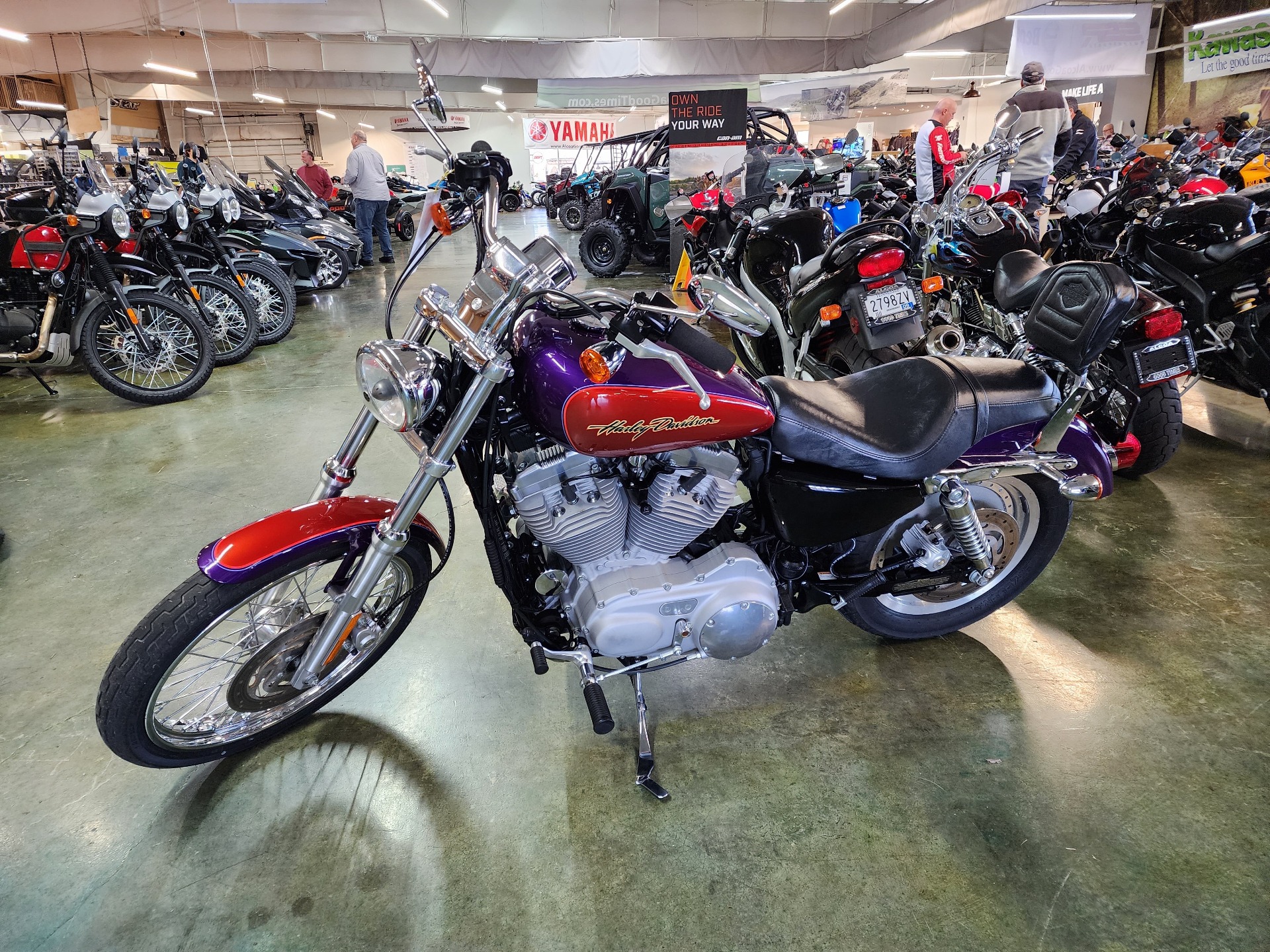 2006 Harley-Davidson Sportster® 883 Custom in Louisville, Tennessee - Photo 2