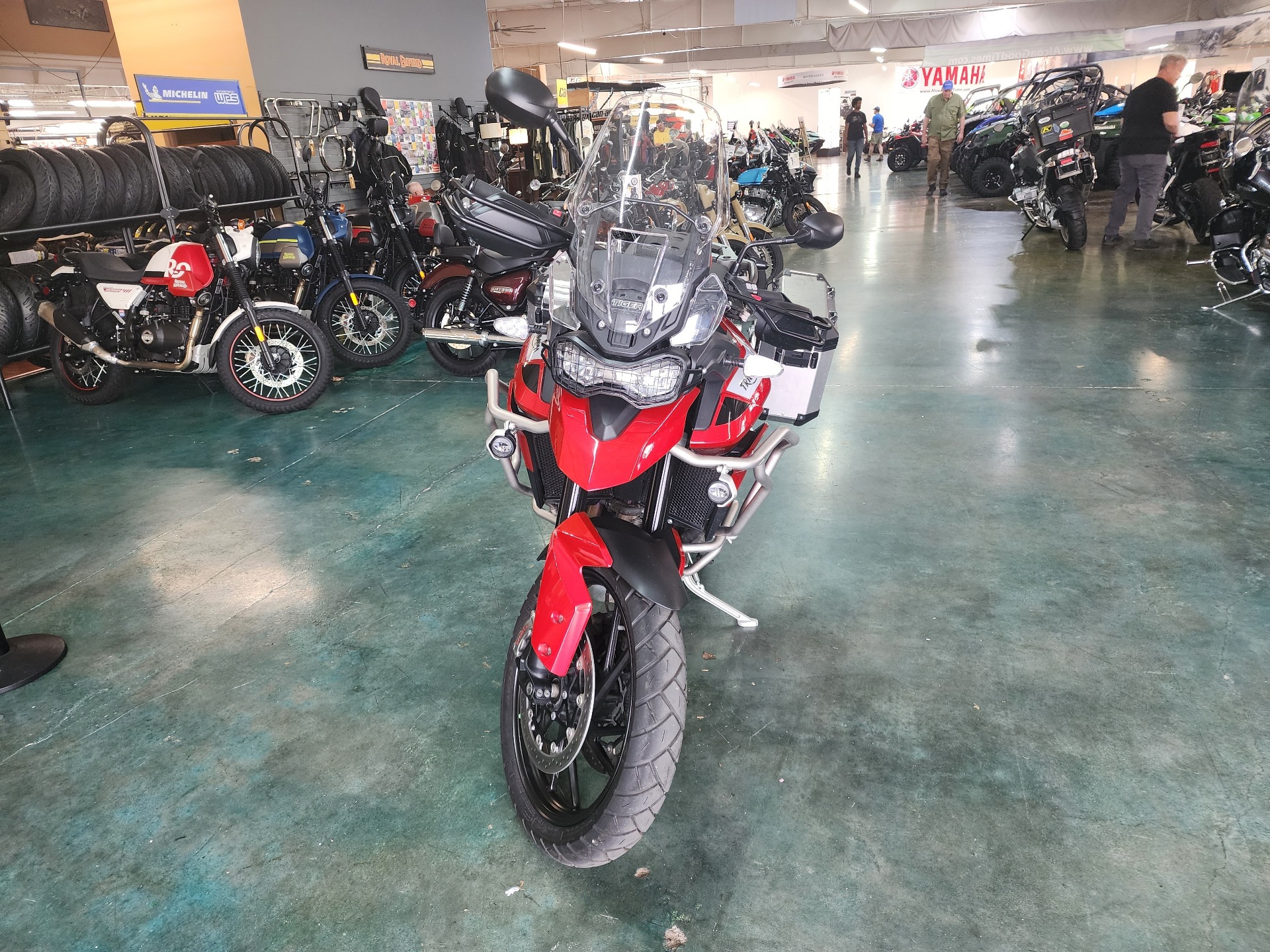 2021 Triumph Tiger 900 GT Pro in Louisville, Tennessee - Photo 3