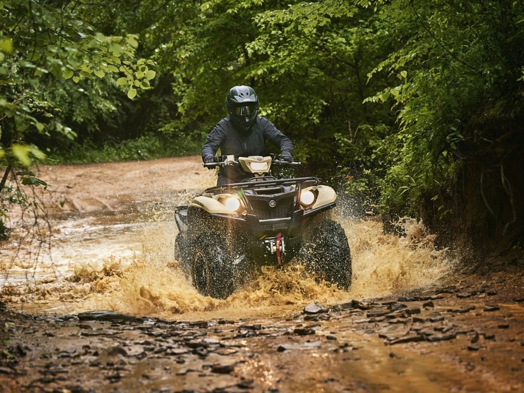 2024 Yamaha Kodiak 700 EPS SE in Stillwater, Oklahoma - Photo 7