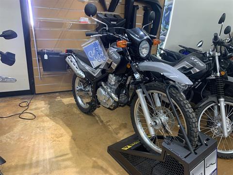 2024 Yamaha XT250 in Stillwater, Oklahoma - Photo 2