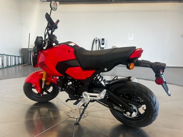 2025 Honda Grom in Stillwater, Oklahoma - Photo 2