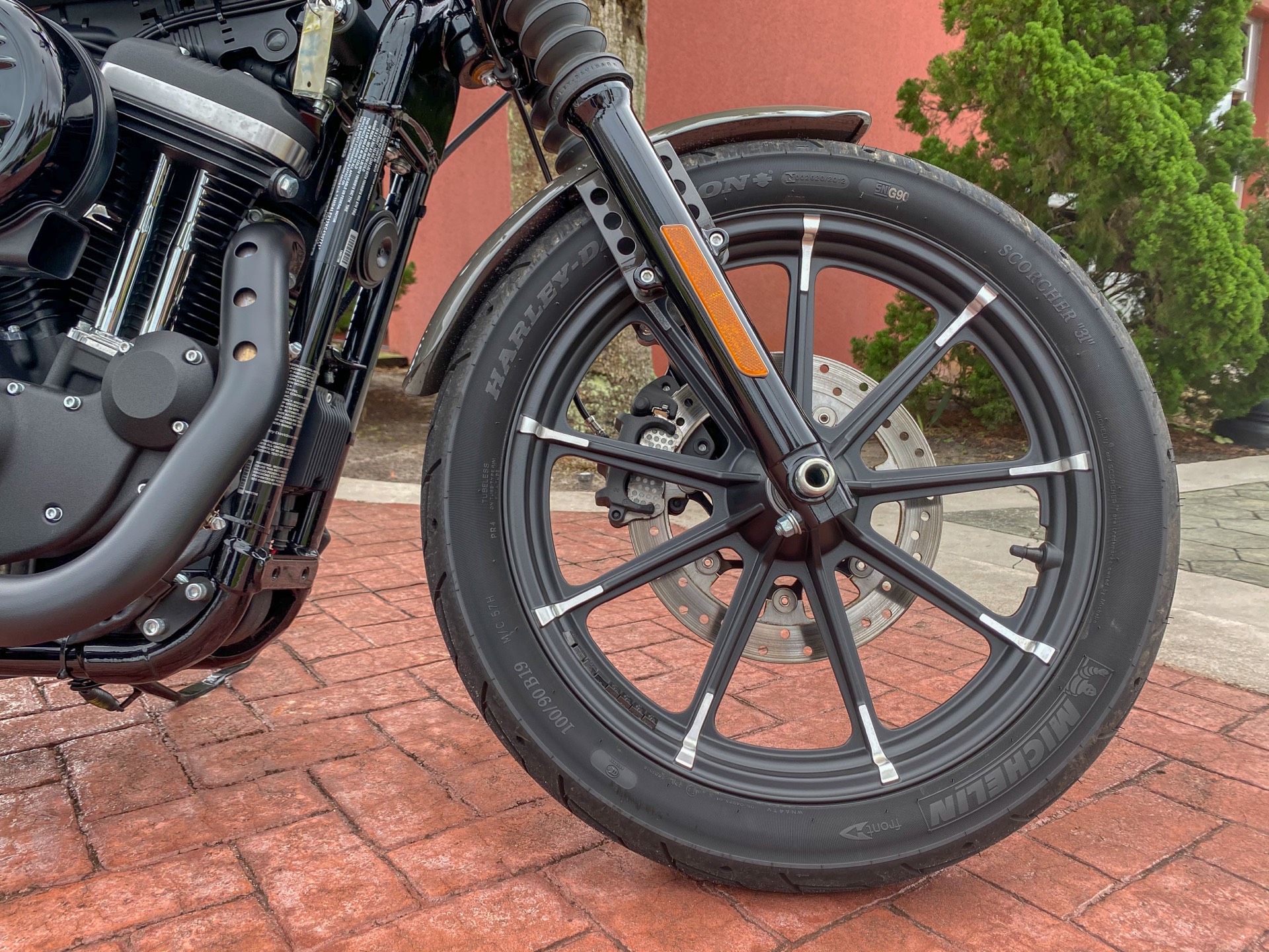 Used 2019 Harley-Davidson XL883N | Motorcycles in Orlando ...