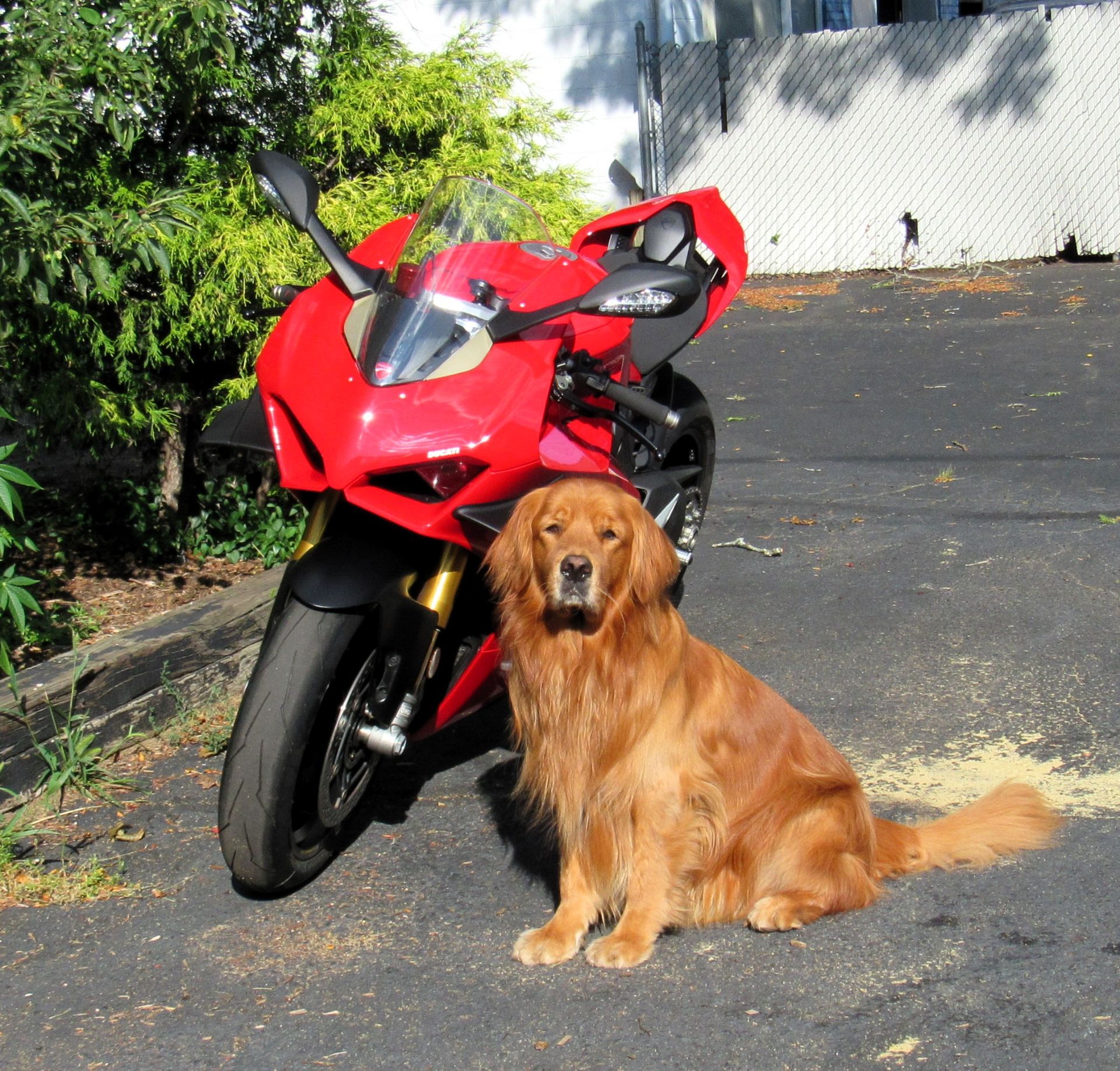 2020 Ducati Panigale V4 S in New Haven, Connecticut - Photo 1