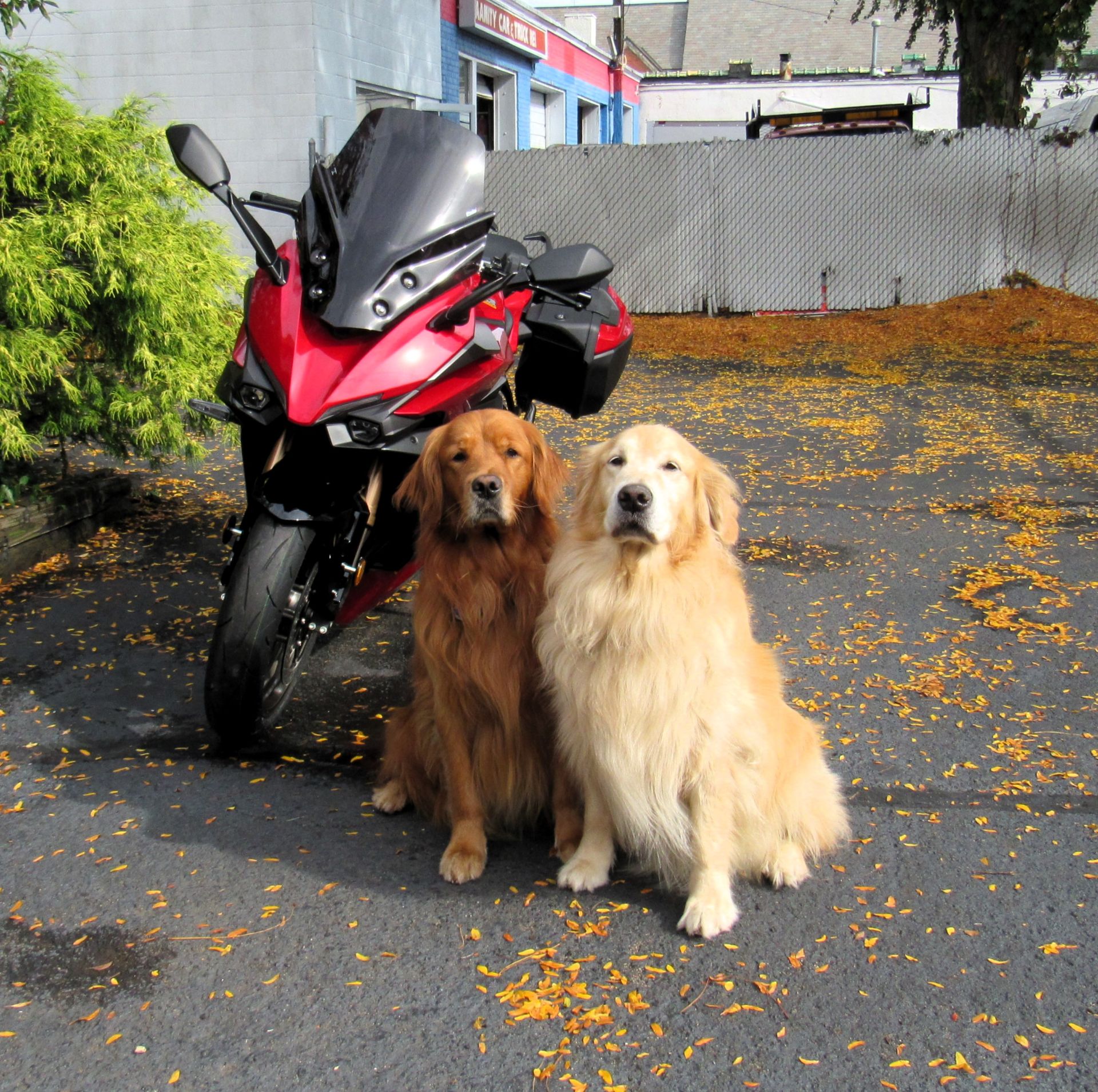 2024 Suzuki GSX-S1000GT+ in New Haven, Connecticut - Photo 9