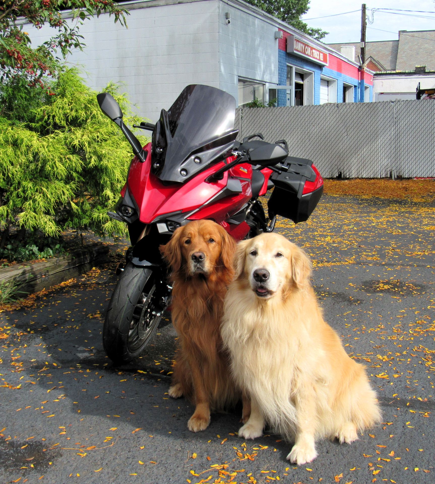 2024 Suzuki GSX-S1000GT+ in New Haven, Connecticut - Photo 1