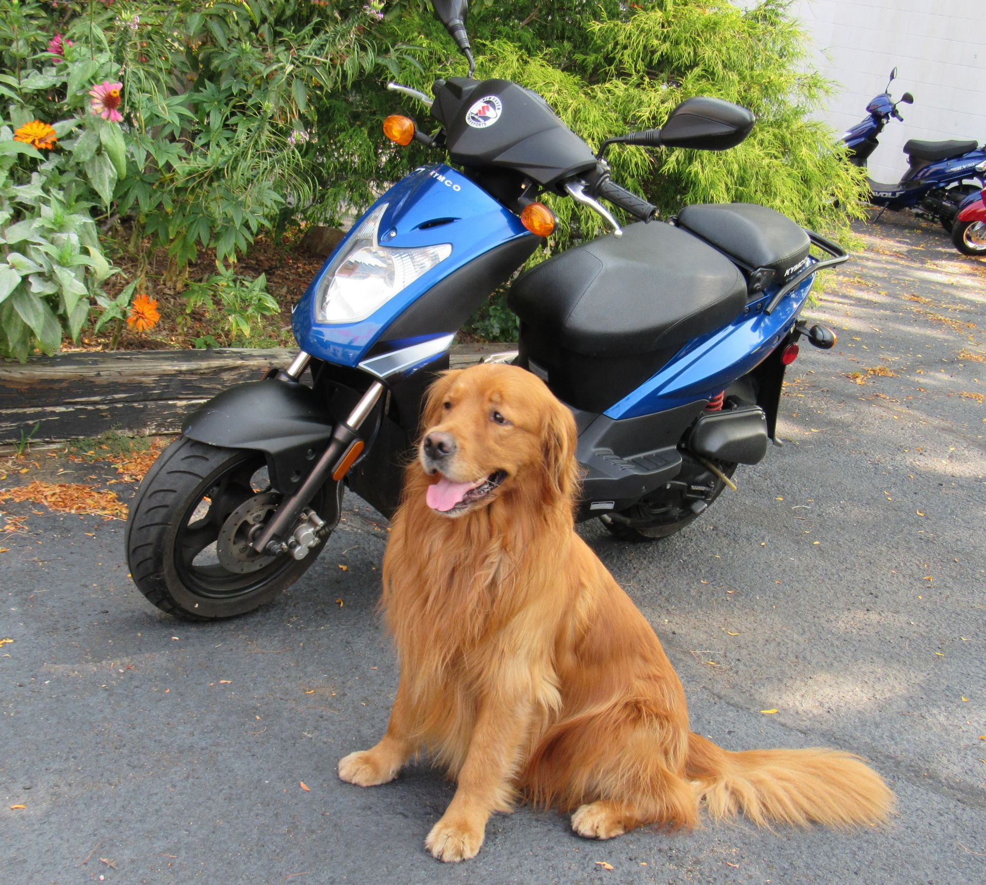 2009 Kymco Agility 50 in New Haven, Connecticut - Photo 1