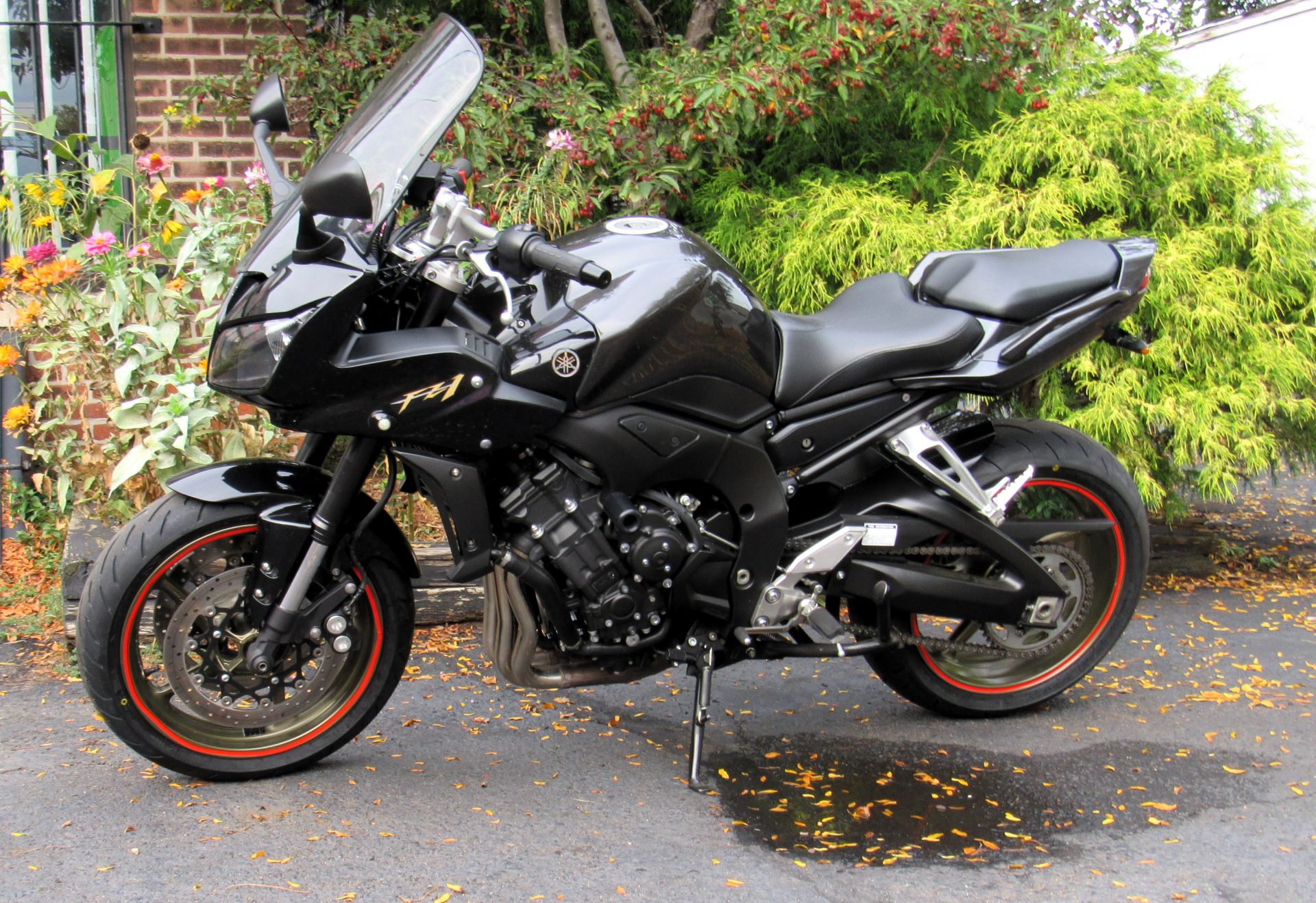 2009 Yamaha FZ1 in New Haven, Connecticut - Photo 2