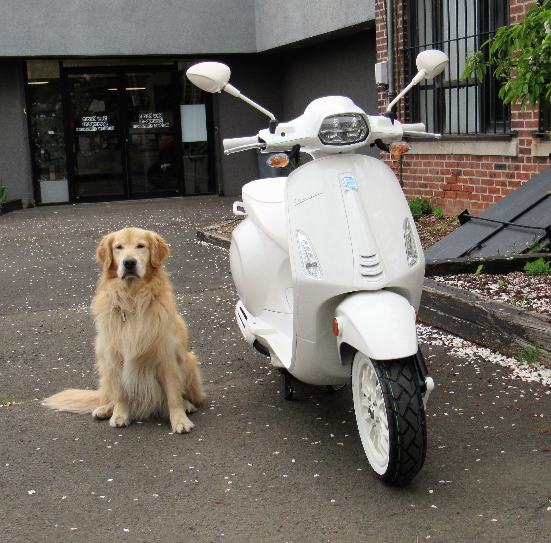 2022 Vespa SPRINT 50 "GHOST" in New Haven, Connecticut - Photo 12