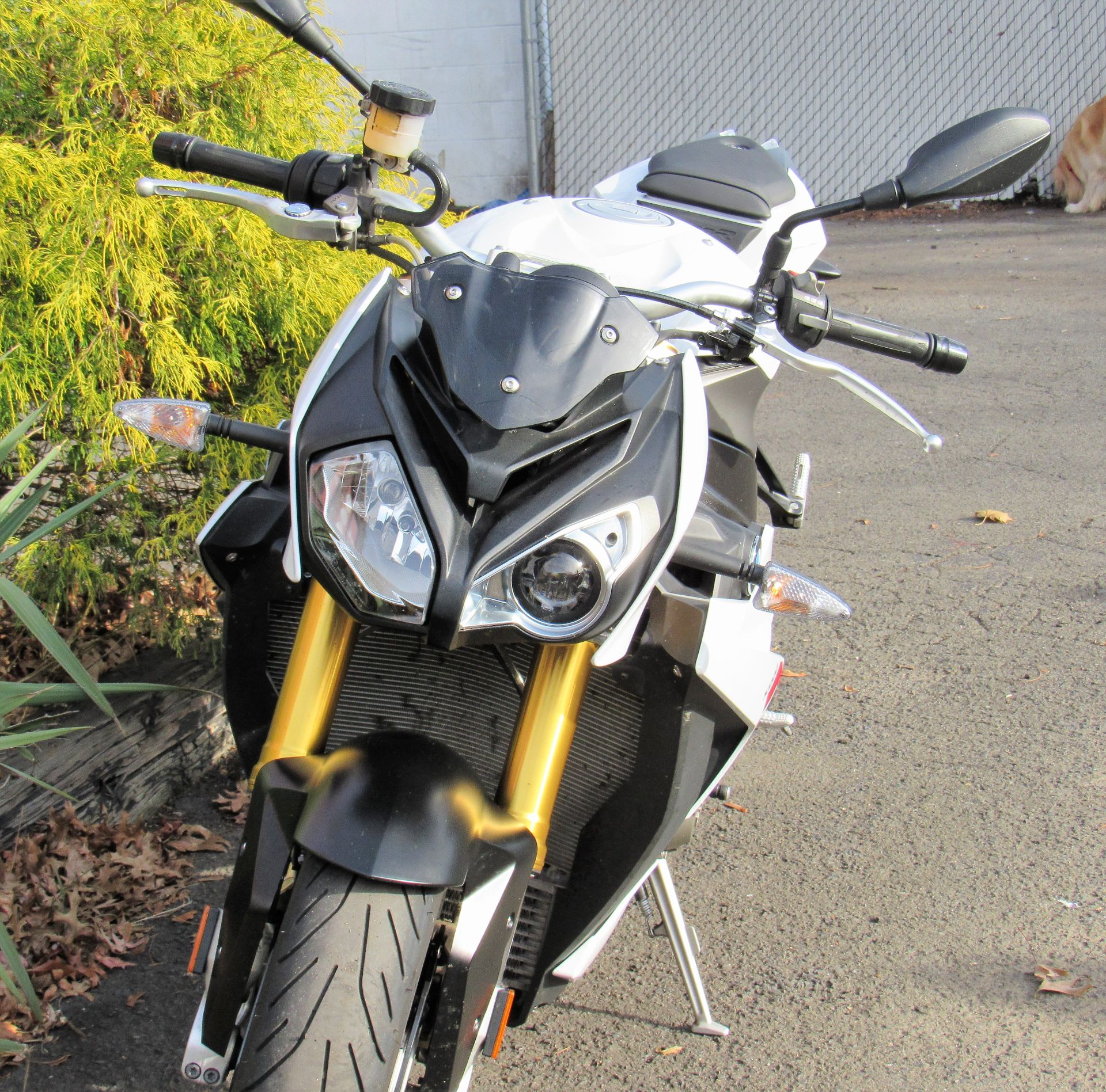 2014 BMW S 1000 R in New Haven, Connecticut - Photo 6