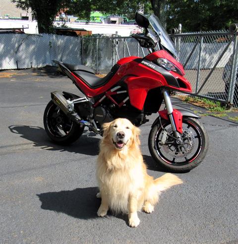 2015 Ducati Multistrada 1200 in New Haven, Connecticut - Photo 1