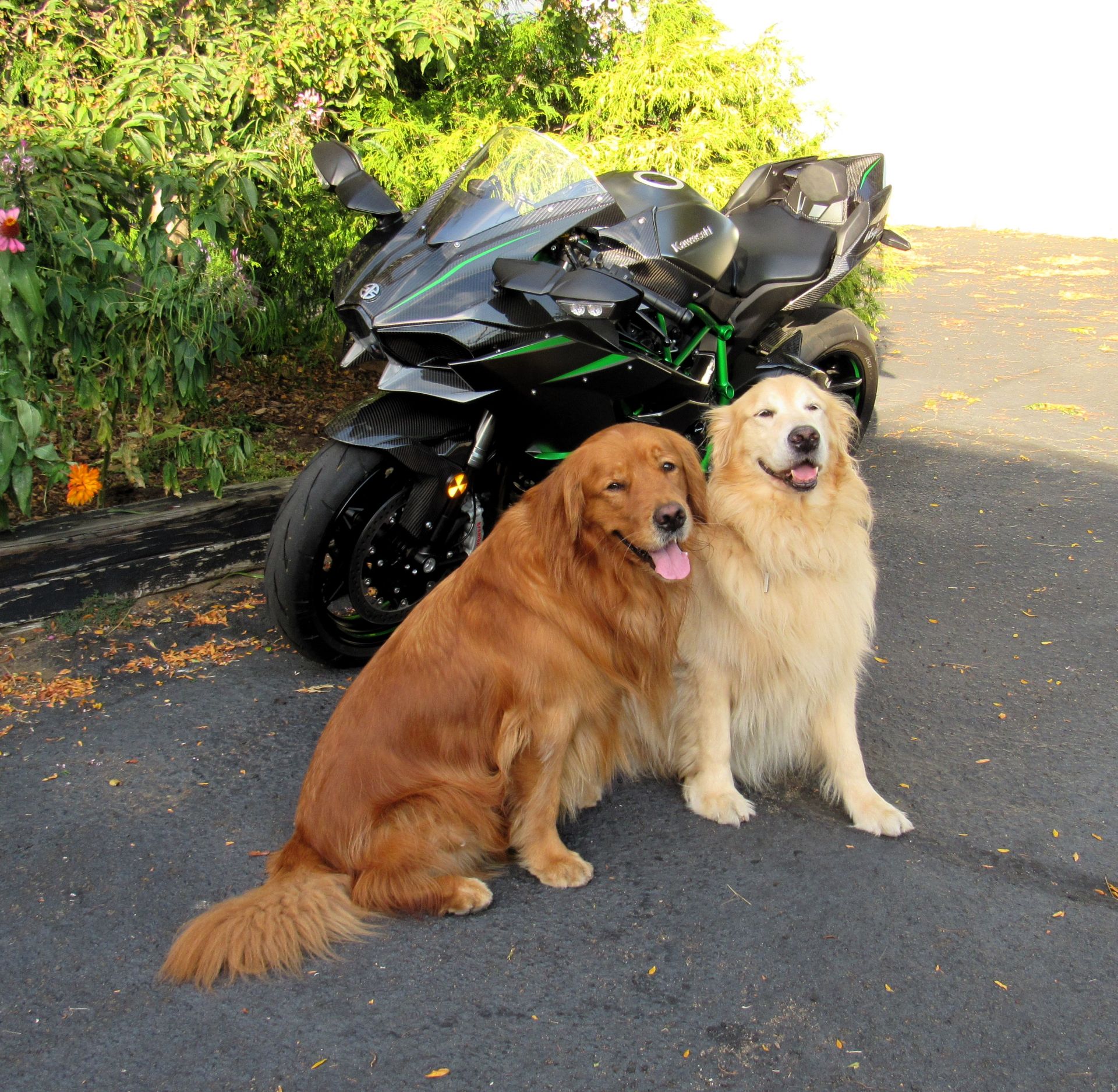 2023 Kawasaki Ninja H2 Carbon in New Haven, Connecticut - Photo 3