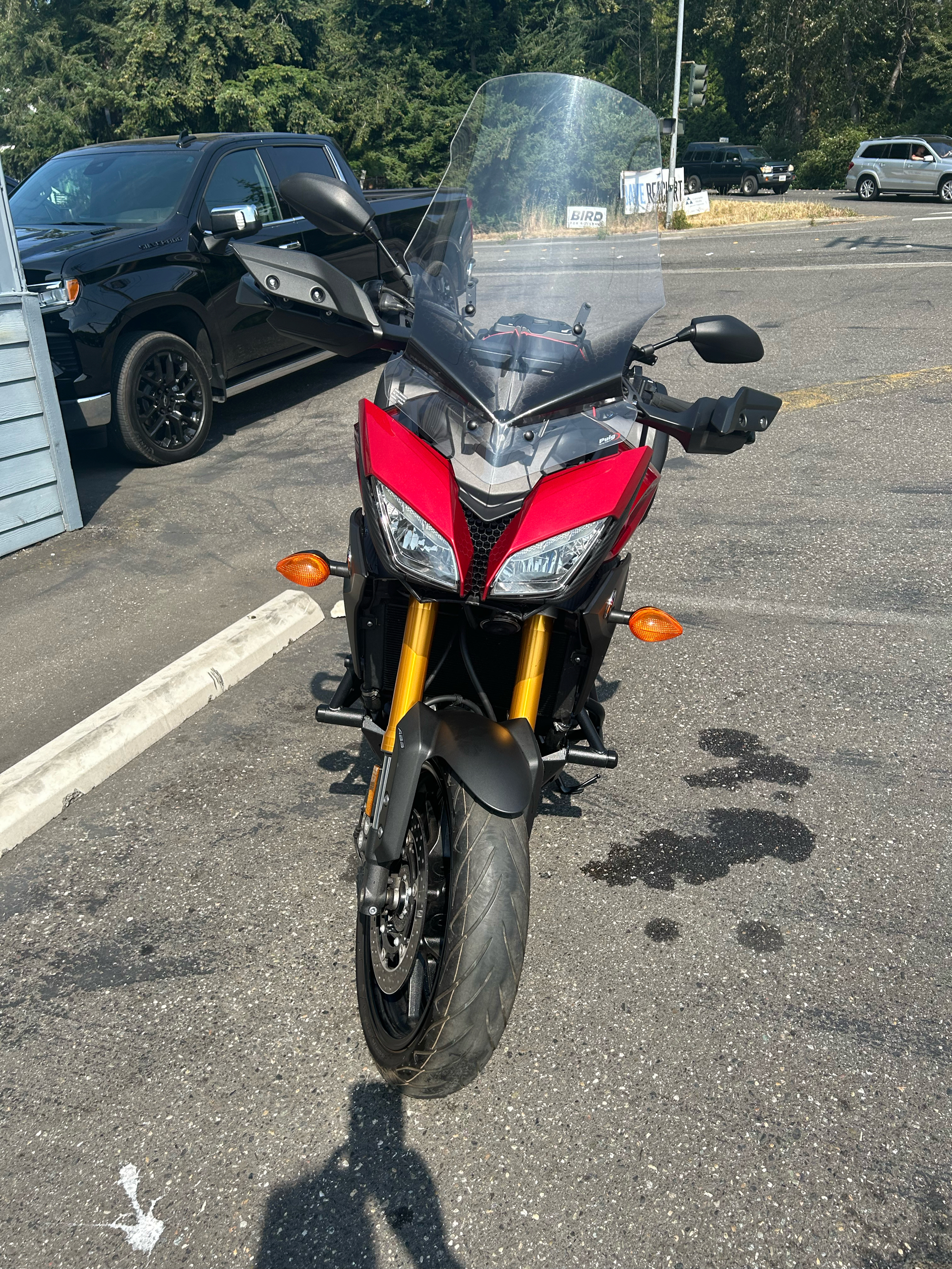 2015 Yamaha FJ-09 in Bellingham, Washington - Photo 11